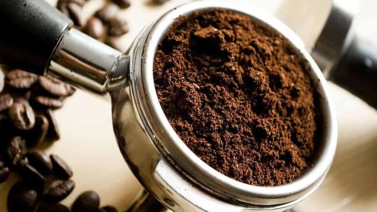 Trasforma i fondi di caffè in oro per il tuo giardino