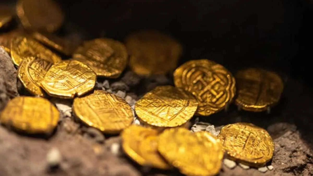 Scoperta incredibile: il tesoro di monete Tudor ritrovato in Hampshire