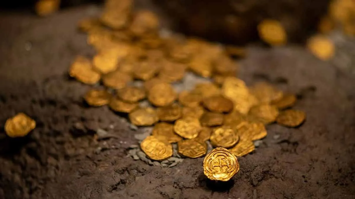 Un tesoro storico in giardino: la sorpresa di una coppia britannica